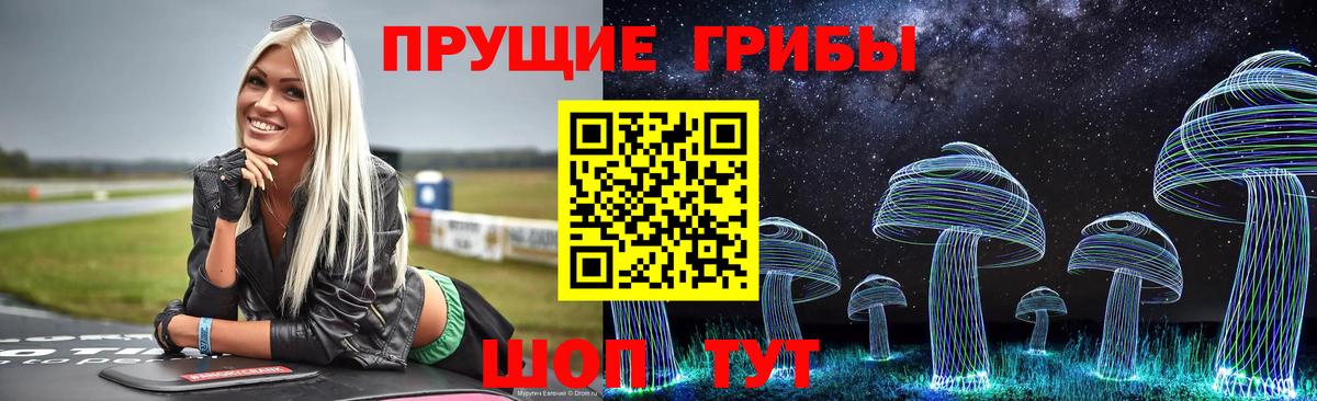 Заводоуковск  Галлюциногенные грибы Psilocybine cubensis  Псилоцибиновые грибы Psilocybe  Вход с VPN 