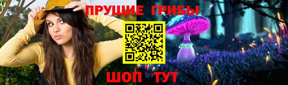 Псилоцибиновые грибы Magic Shrooms Заводоуковск